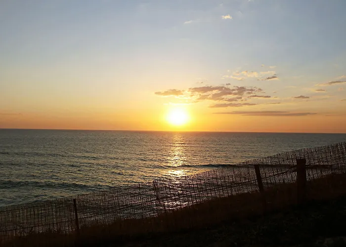 Gasthuis Blue Buddha &